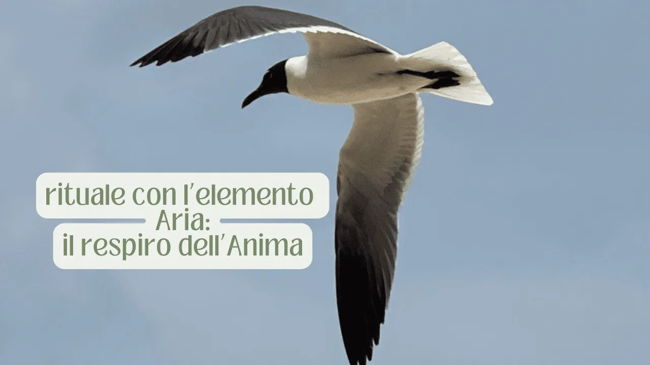 Rituale con l’elemento ARIA: il respiro dell’Anima